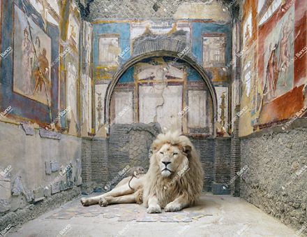 Inkiostro Bianco House of The Gladiators Wallpaper