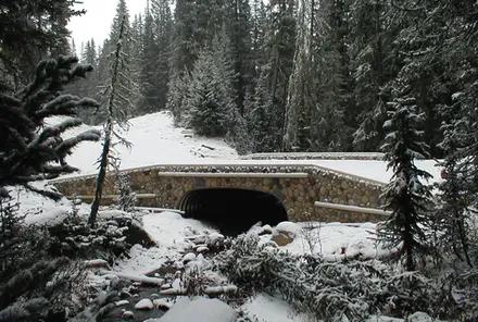 Conteches Ultra-cor® Bridges