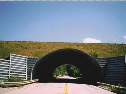 Conteches Ultra-cor® Bridges