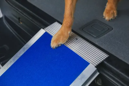 EZ Access Wall Prep Four Runner™ Portable Pet Ramp