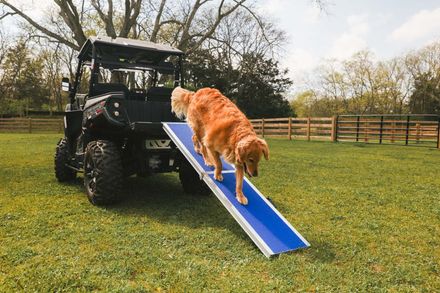 EZ Access Wall Prep Four Runner™ Portable Pet Ramp