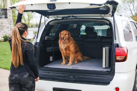 EZ Access Wall Prep Four Runner™ Portable Pet Ramp