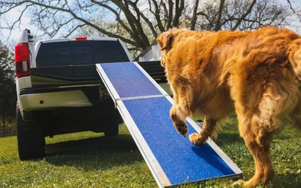 EZ Access Wall Prep Four Runner™ Portable Pet Ramp