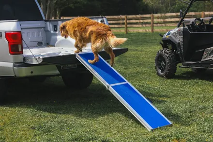 EZ Access Wall Prep Four Runner™ Portable Pet Ramp