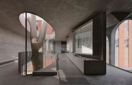 Gallery For A Tree "Flyover" Marcellin College