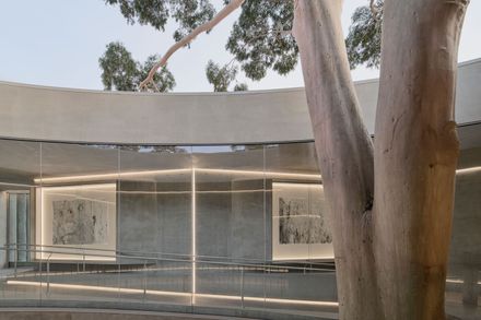 Gallery For A Tree "Flyover" Marcellin College