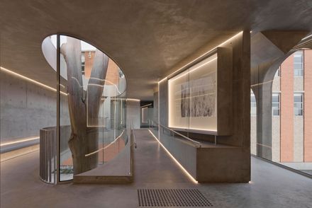 Gallery For A Tree "Flyover" Marcellin College