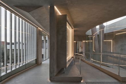 Gallery For A Tree "Flyover" Marcellin College