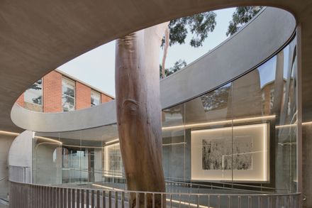 Gallery For A Tree "Flyover" Marcellin College