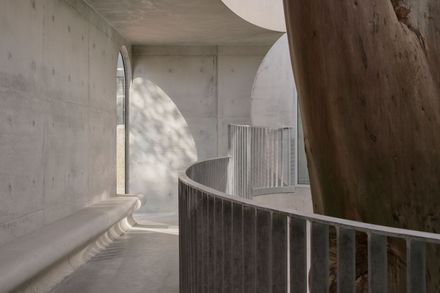 Gallery For A Tree "Flyover" Marcellin College
