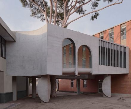 Gallery For A Tree "Flyover" Marcellin College