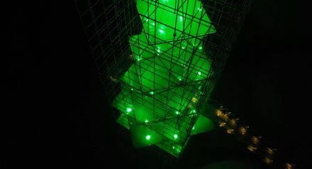 The Tree