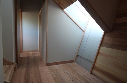 Pit Garden In Passive House
