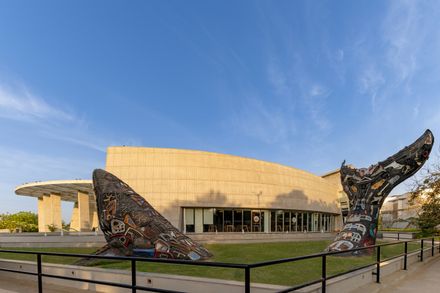 Aquatic Gallery