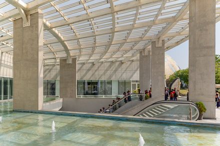 Aquatic Gallery