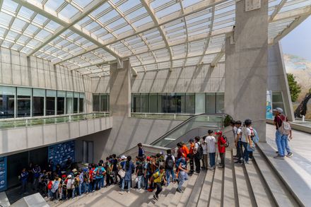 Aquatic Gallery
