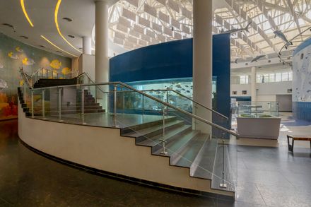 Aquatic Gallery