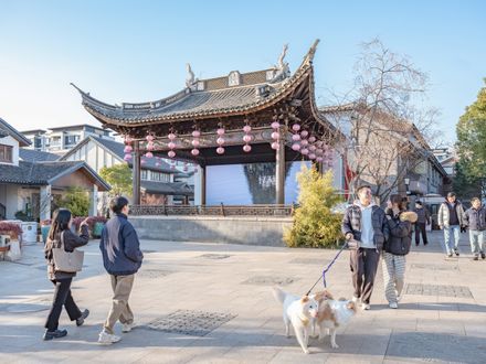 Shanghai Panlong Tiandi