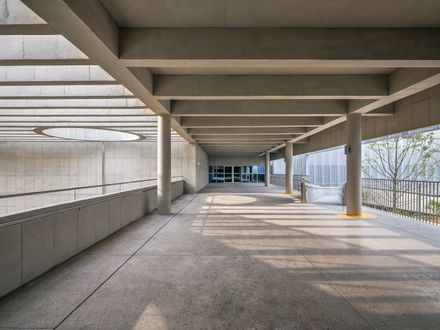 Care And Wellness Center For The Elderly And Disabled