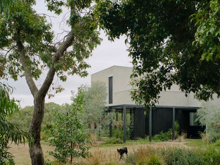 No.41 House