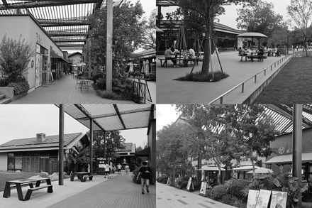 Spatial Renewal And Scene Stitching Of Birland Food Court