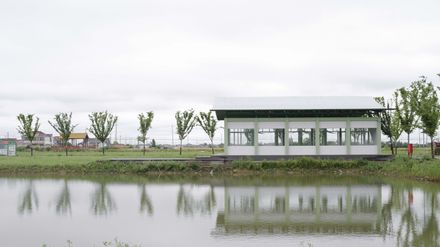 Grape Classroom In The Field