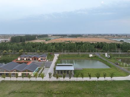 Grape Classroom In The Field