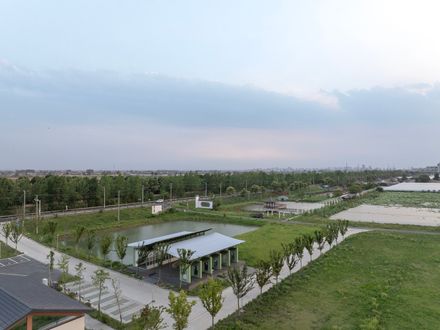 Grape Classroom In The Field
