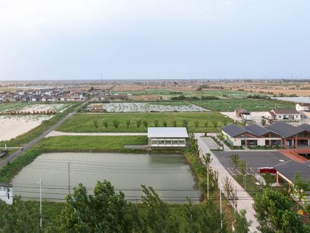Grape Classroom In The Field