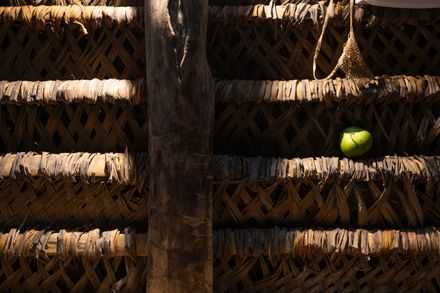 Hampi Samay Wasi: Regenerative Architecture And Ancestral Memory In The Kichwa Amazon