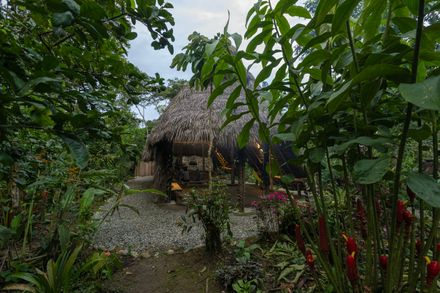 Hampi Samay Wasi: Regenerative Architecture And Ancestral Memory In The Kichwa Amazon