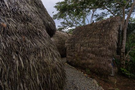 Hampi Samay Wasi: Regenerative Architecture And Ancestral Memory In The Kichwa Amazon