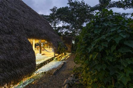 Hampi Samay Wasi: Regenerative Architecture And Ancestral Memory In The Kichwa Amazon