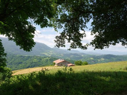 Basque Farm