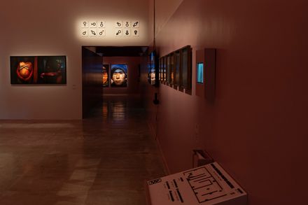 Explicit Bodies, Hidden Bodies Exhibition