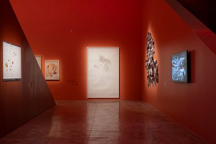 Explicit Bodies, Hidden Bodies Exhibition