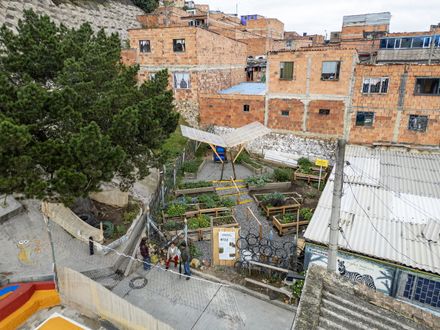 Help Age Urban Gardens
