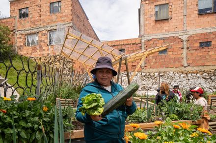 Help Age Urban Gardens