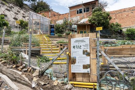 Help Age Urban Gardens