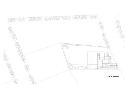 D House
