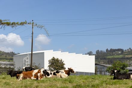 Paraiso Office Building + Industrial Warehouse