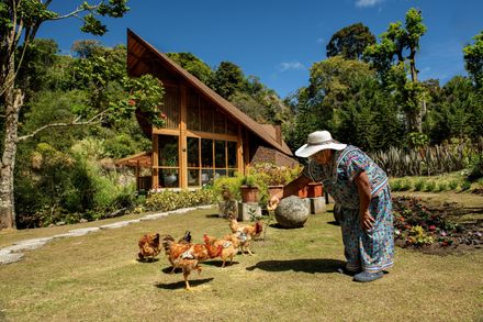 El Arca Residential Pavilion