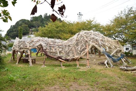 Driftwood Hut Project