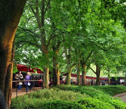 Open Air Theatre