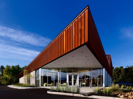 Memphis Veterinary Specialists