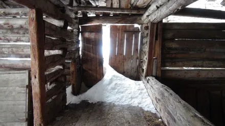 Alpine Loft