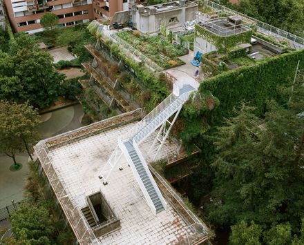 Belvedere Stairs