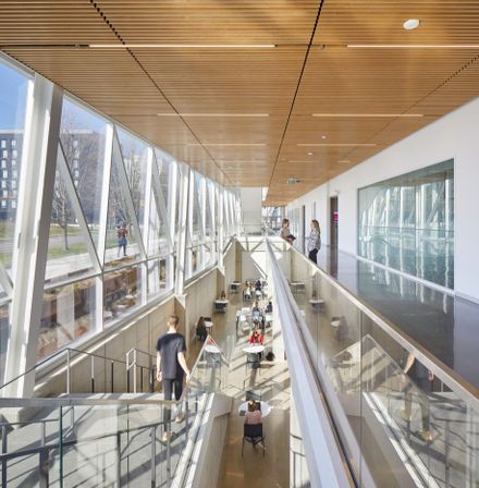 York University School Of Continuing Studies