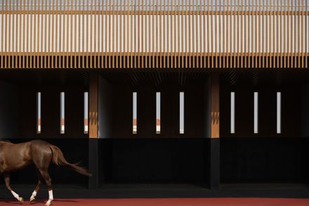 Saddling Boxes & Private Deck