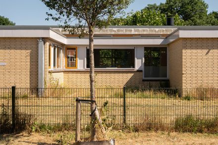 Primary School Lux